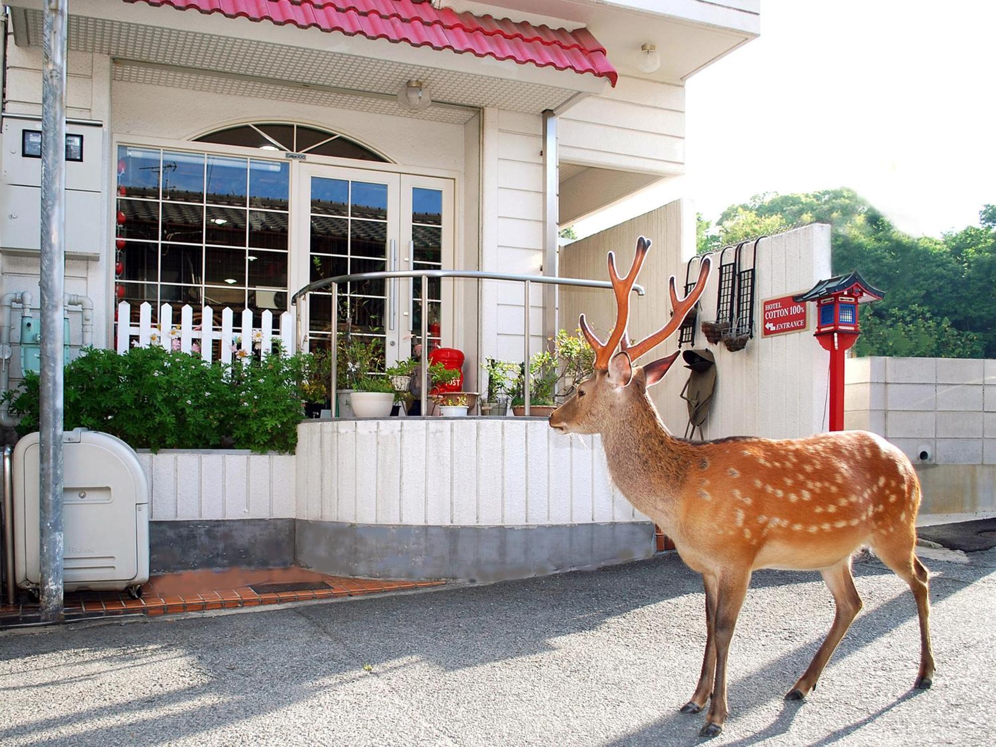 Hotel Cotton 100% Nara Exterior photo